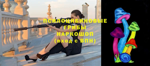 дживик Белоозёрский