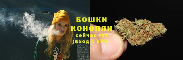 стаф Майский