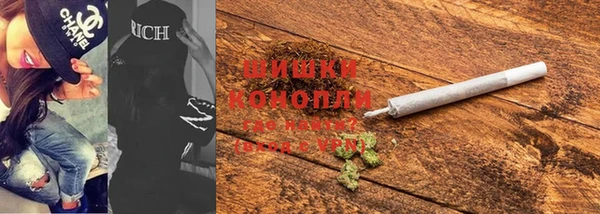 индика Мегион
