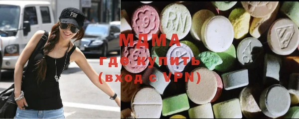 индика Мегион